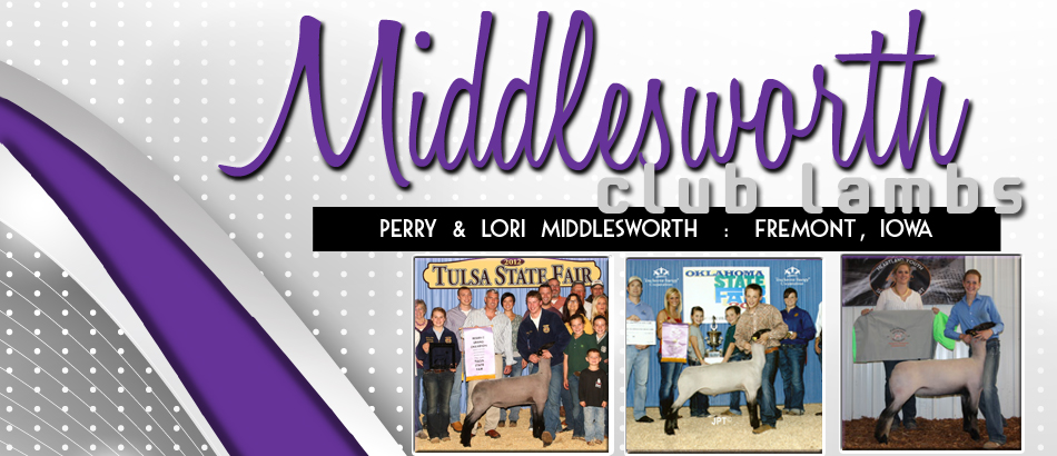 Middlesworth Club Lambs - Perry & Lori Middlesworth