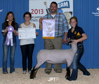 Middlesworth Club Lambs Winner