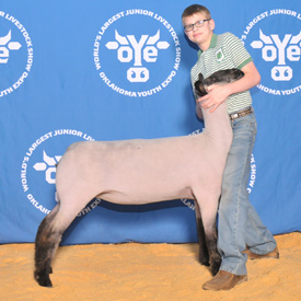 Middlesworth Club Lambs Winner