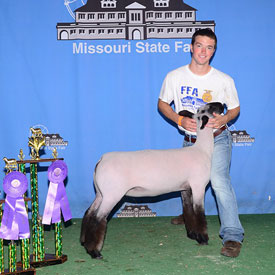 Middlesworth Club Lambs Winner